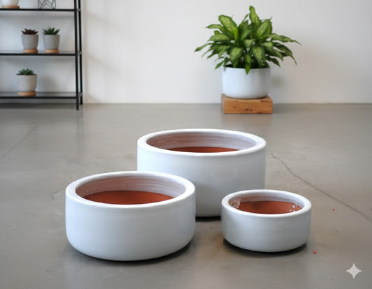 Pflanzschale,Pflanzgefäß,Blumentopf,antik weiß,frostfest 3 Größen wählbar