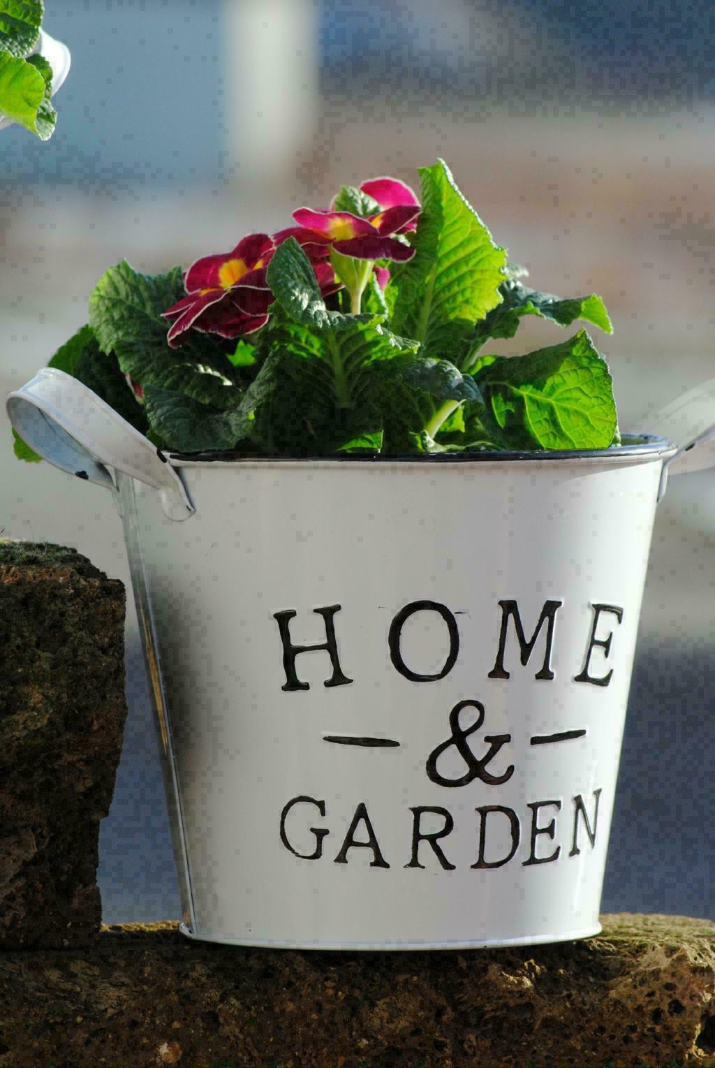 Metalltöpfe weiß "Home & Garden"frische Frühlingsdeko rund 2er Set 2 Größen