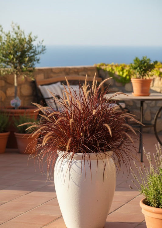 Pflanzkübel,Vase,Pflanzgefäß,antik weiß,frostfest!2 Größen wählbar,40 oder 50 cm