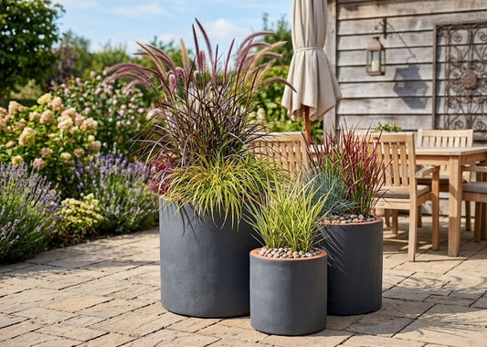 Pflanzkübel anthrazitfarben Clayfibre leicht Übertopf Blumentopf 3 Größen