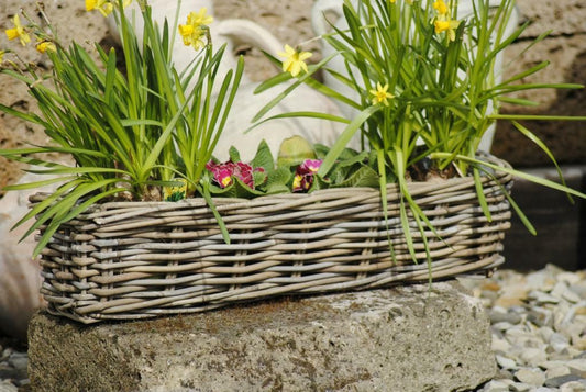 Weidenkorb,Blumenkasten,sehr stabil,bepflanzbar,naturbelassen,zwei Größen