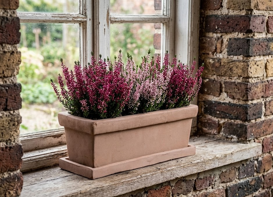 Pflanzkasten mit Untersetzer Blumenkasten cappuccino rustikal 37 cm lang