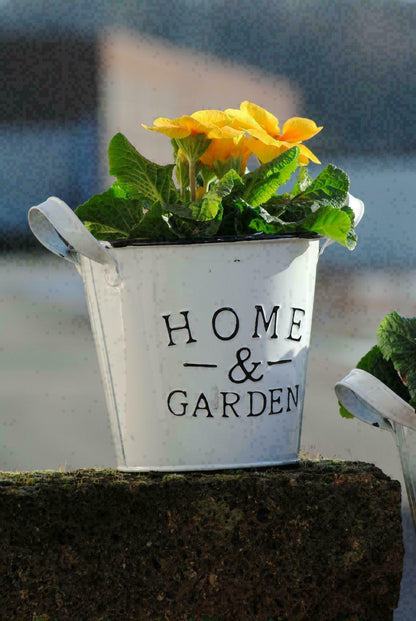 Metalltöpfe weiß "Home & Garden"frische Frühlingsdeko rund 2er Set 2 Größen