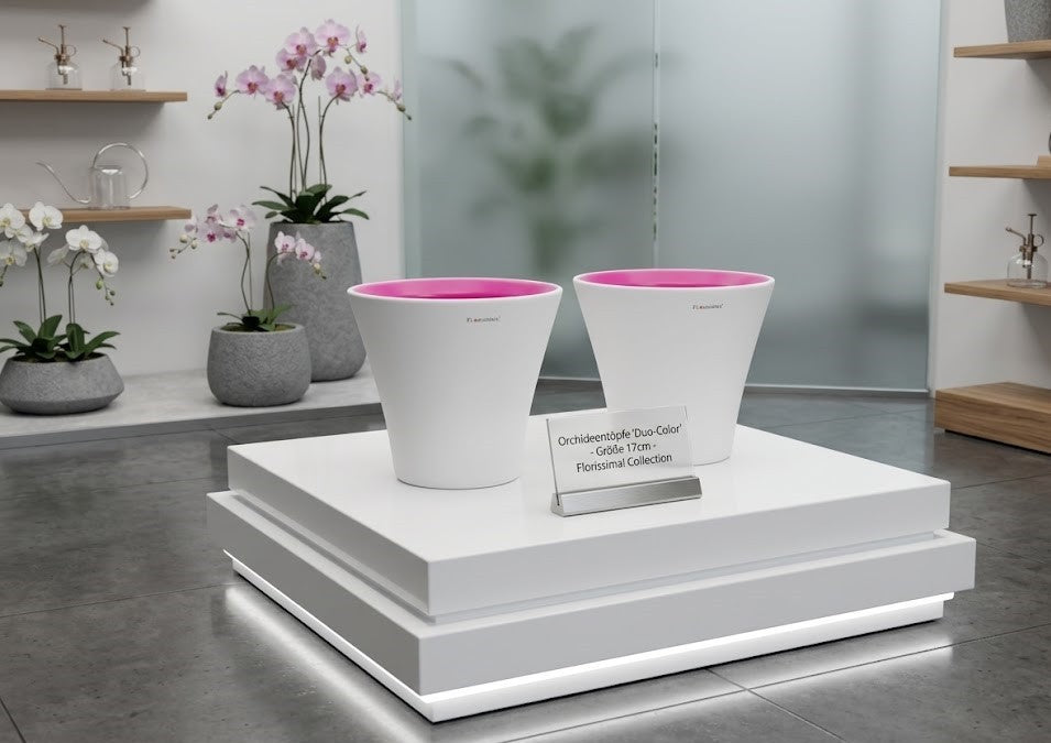 Orchideentopf Keramik Übertopf Hochglanz Weiß/Pink Pflanztopf XL-Format 17 cm