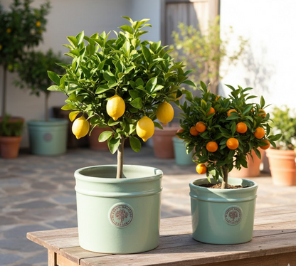 Pflanzkübel,Medallion jade,Pflanzgefäß,Blumentopf,frostfest!4 Größen wählbar