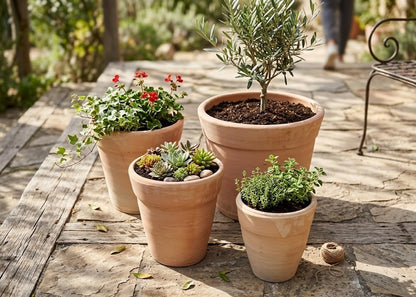 Pflanzkübel Blumentopf konisch sandfarben Terracotta frostfest!3 Größen wählbar