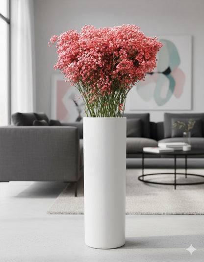 Schleierkraut Strauß XXL 70cm | Frische Blumen | Enormes Volumen | 3 Farben