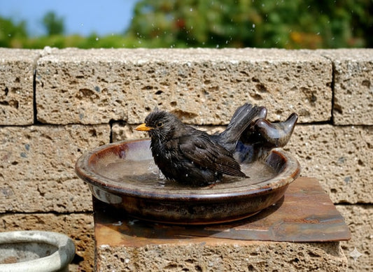 Vogeltränke,dekorativ,zwei Vögelchen,mokka glasiert,30 cm Wildvögel,Voliere,etc.