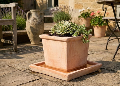 Untersetzer als Vogeltränke nutzbar eckig frostfest terracotta Größen wählbar