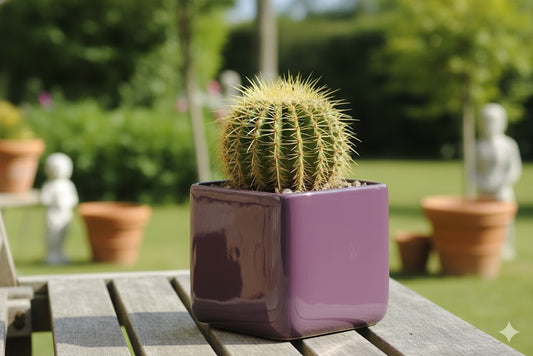 Übertopf,eckig,Keramiktopf für den Innenbereich,sehr modern,aubergine,15cm