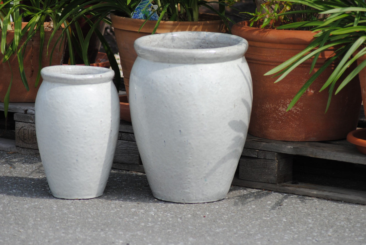 Pflanzkübel,Vase,Pflanzgefäß,antik weiß,frostfest!2 Größen wählbar,40 oder 50 cm
