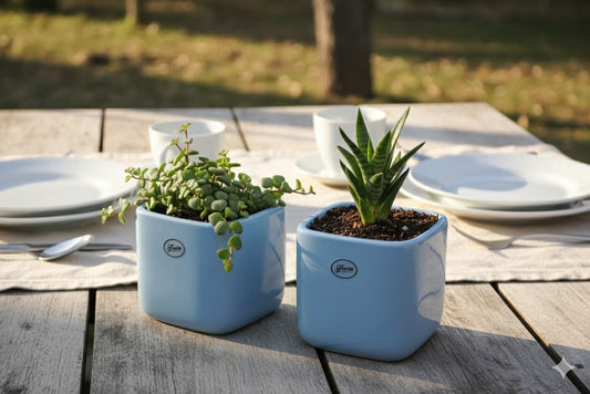 Übertöpfe,hellblau,eckig,modernes,schlichtes Design,2er Set,3 Größen wählbar