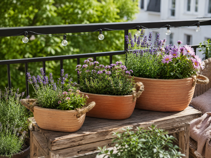 Terracotta Rustikal Blumenschale Pflanzschale Pflanzgefäß Garten Balkon Sparset