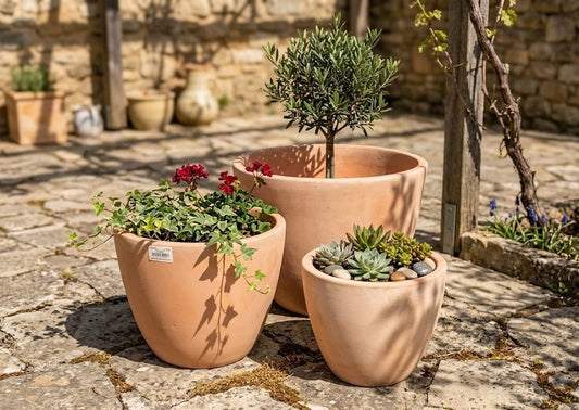 Pflanzkübel,Egg Pot,Blumentopf,Terracotta hell,frostfest!3 Größen wählbar