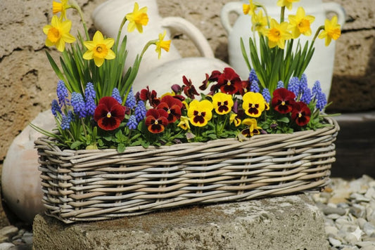 Weidenkorb,Blumenkasten,sehr stabil,bepflanzbar,naturbelassen,zwei Größen