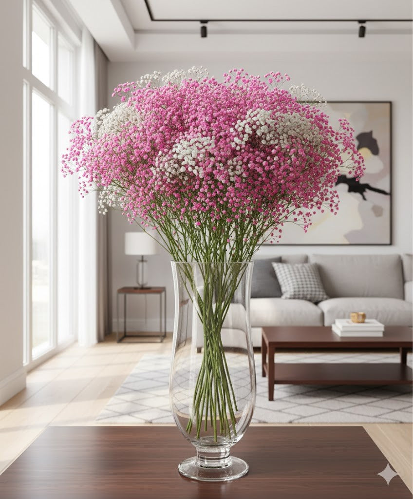 Schleierkraut Strauß XXL 70cm | Frische Blumen | Enormes Volumen | 3 Farben