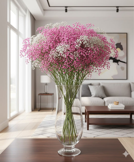 Schleierkraut Strauß XXL 70cm | Frische Blumen | Enormes Volumen | 3 Farben