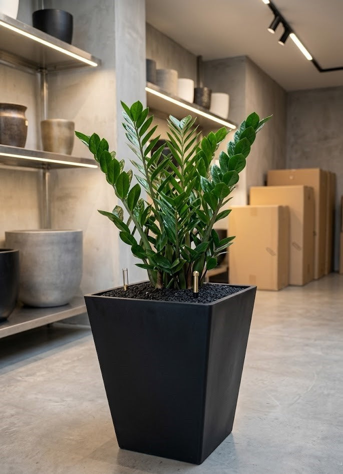 Ecostone Pflanzkübel 57+45 cm – Anthrazit Schwarz – Unzerbrechlich & Nachhaltig