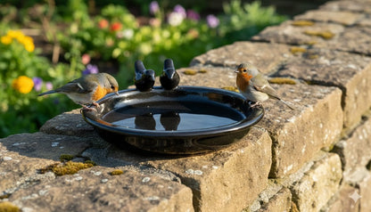 Vogeltränke,dekorativ,zwei Vögelchen,schwarz glasiert,30 cm Wildvögel,Voliere