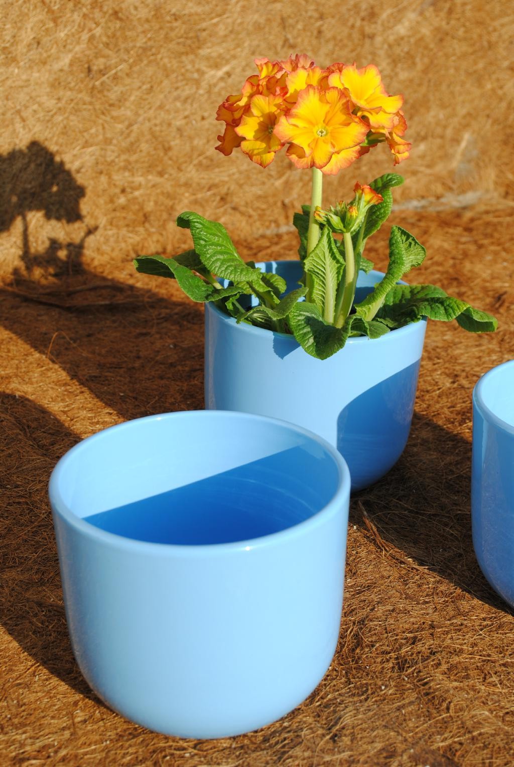 Übertöpfe schlichte Form hellblau oder weiß 4 Größen wählbar 2er Set