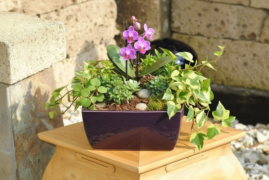 Schalenset aus Keramik,aktuelles aubergine,Floristik,Grünpflanzen,Dekoschalen