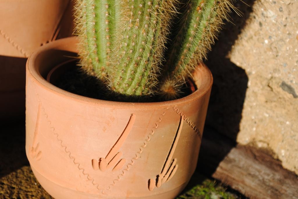 Pflanztöpfe im 3er Set helle Terracotta verziert 10/13/16cm spanisch