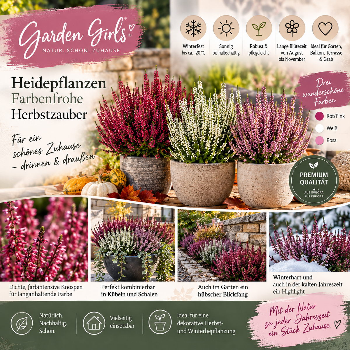 Heide Garden Girls Knospenheide Calluna vulgaris Winterhart Mix Rot Twin 3-9er