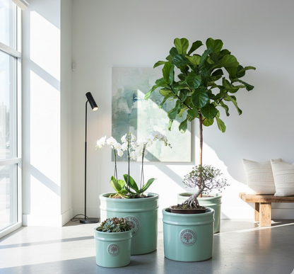 Pflanzkübel,Medallion jade,Pflanzgefäß,Blumentopf,frostfest!4 Größen wählbar