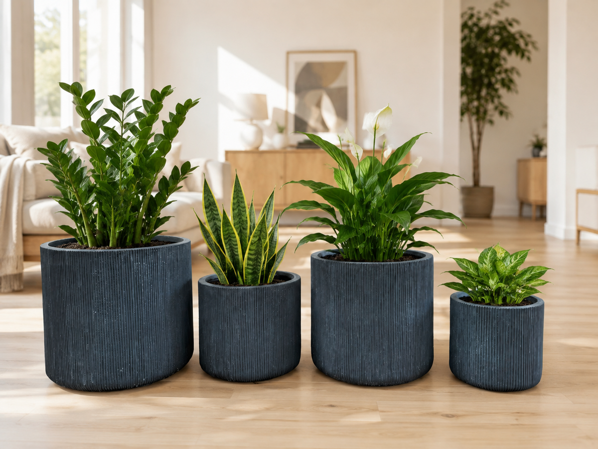 Pflanzkübel Graphite Geriffelt Cylinder Blumentopf Frostfest Innen & Aussen