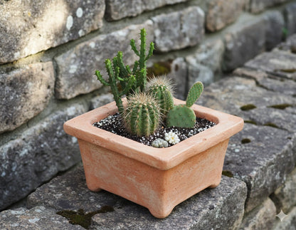 Pflanzkasten,Blumenkasten,quadratisch,sandfarben,tunesische Handarbeit,27cm