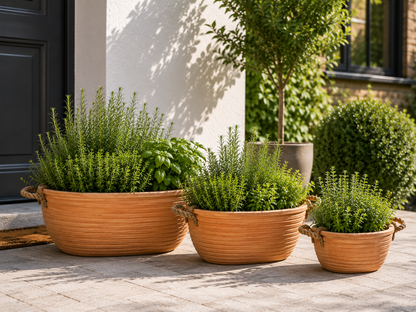 Terracotta Rustikal Blumenschale Pflanzschale Pflanzgefäß Garten Balkon Sparset
