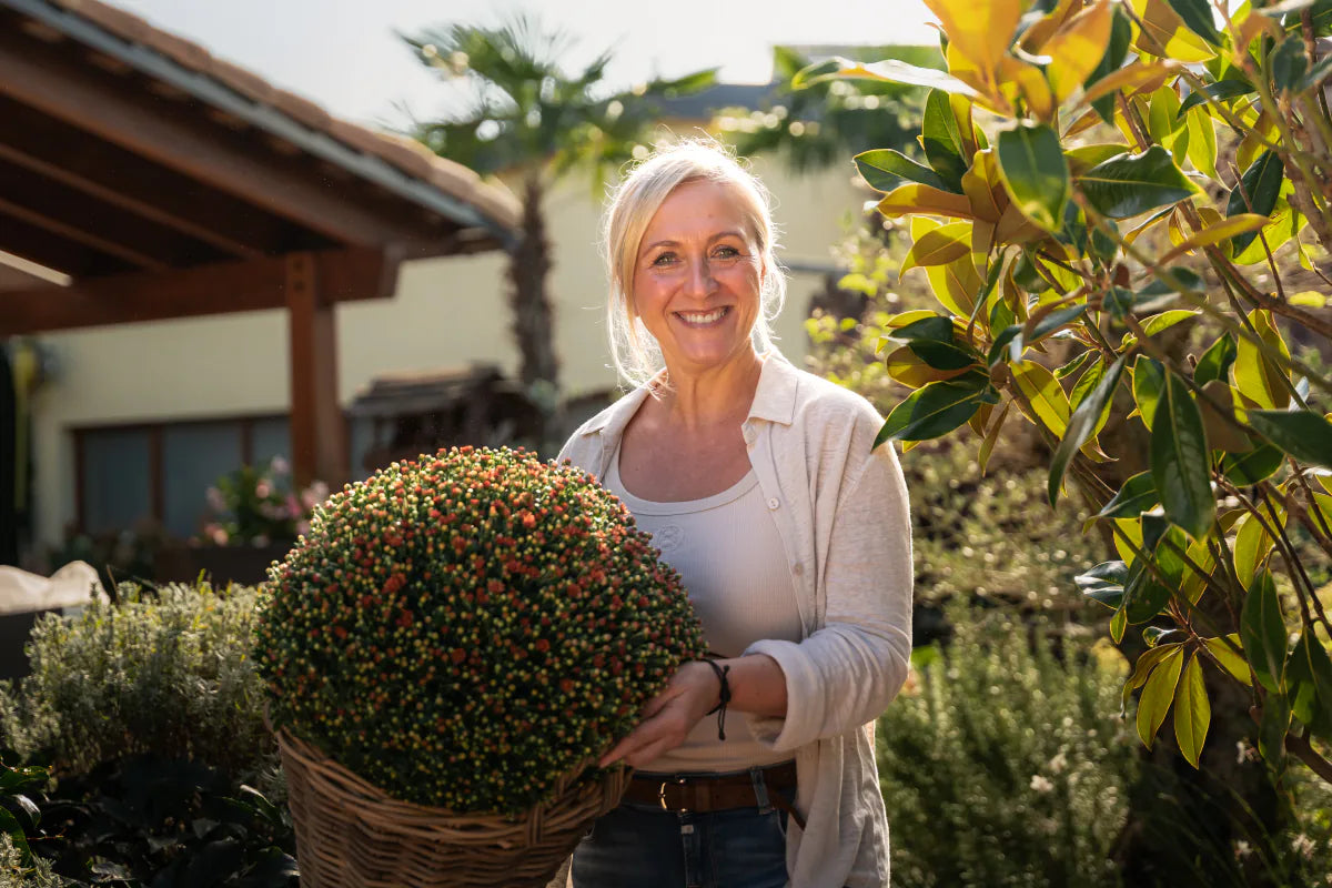 Kasia hält einen Korb mit einer Chrysantheme